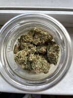 IMG_3309.jpeg