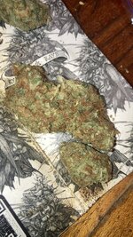 IMG_5832.jpeg