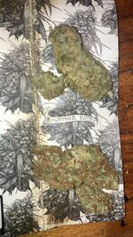 IMG_5836.jpeg