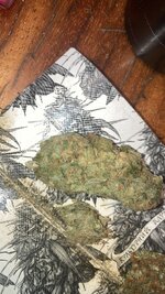 IMG_5833.jpeg