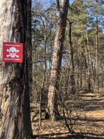 IMG_7478.jpeg