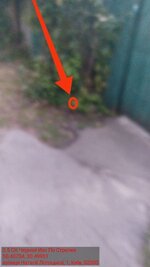 IMG_2138.jpeg
