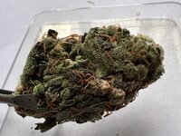 IMG_0553.jpeg