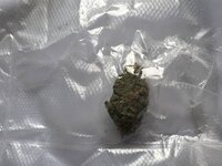 IMG_0551.jpeg
