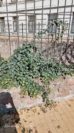 IMG_20250803_190200_976.jpg