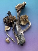 IMG_0375.jpeg