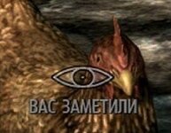 XVZyXlUhQUs.jpg