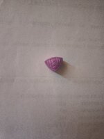 IMG_20250731_165911850.jpg