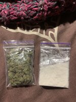 IMG_0546.jpeg