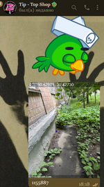1754250219601.png