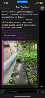 1754250393115.png