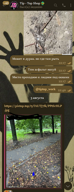Снимок экрана 2025-08-03 225552.png