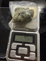 IMG_5639.jpeg