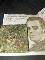 IMG_0525.jpeg