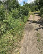 IMG_4906.jpeg