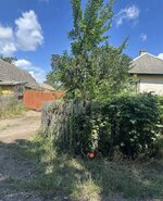 IMG_4896.jpeg