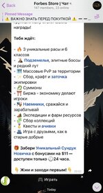 IMG_3809.jpeg