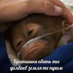 images.jpg