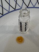 IMG_3075.jpeg