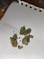 IMG_8167.jpeg