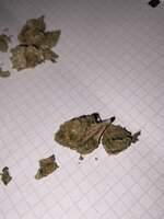 IMG_8168.jpeg