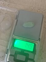 IMG_9153.jpeg