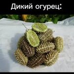 images (2).jpeg