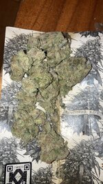 IMG_5860.jpeg