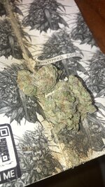 IMG_5869.jpeg