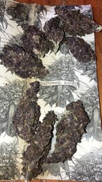 IMG_5882.jpeg