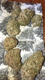 IMG_5886.jpeg