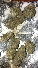 IMG_5884.jpeg