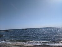 IMG_20220907_103238.jpg