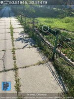 IMG_8395.jpeg