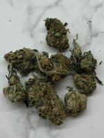 IMG_0235.jpeg
