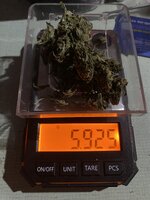 IMG_5870.jpeg