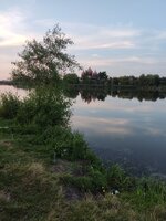 IMG_20250810_093120_200.jpg