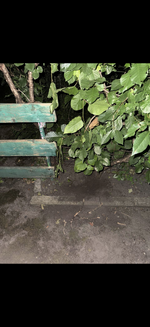 IMG_0699.png