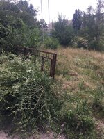 IMG_0458.jpeg