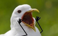 IMG_3904.jpeg