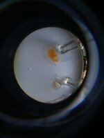 20250809_080230.jpg 20250809_080230.jpg