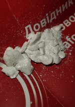Coco_Vito_2.jpg