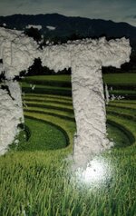 IMG_20250814_105320_610.jpg