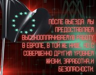 IMG_0233.jpeg