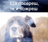 IMG_3933.jpeg