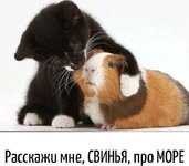 276ccf702c7cffa9dc18c51fe1cc95ba0ce0cd60bfabb54a4fa9cb67210e5112_1.jpg