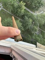 IMG_6203.jpeg