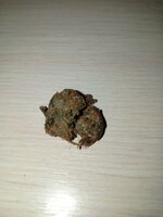 IMG_0518.jpeg IMG_0518.jpeg