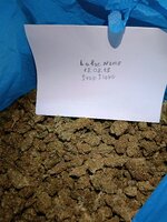 IMG20250818152501.jpg IMG20250818152501.jpg