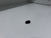 IMG_0110.jpeg